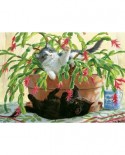 Puzzle Cobble Hill - Cactus Kitties, 1000 piese (64977)