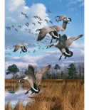 Puzzle Cobble Hill - Canada Geese, 1000 piese (44334)