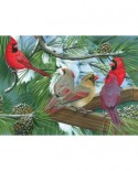 Puzzle Cobble Hill - Cardinal Gathering, 1000 piese (44575)