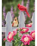 Puzzle Cobble Hill - Cardinals and Peonies, 1000 piese (64957)