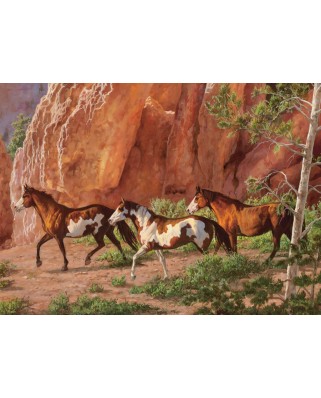 Puzzle Cobble Hill - Chris Cummings: Horse Canyon, 1000 piese (44492)