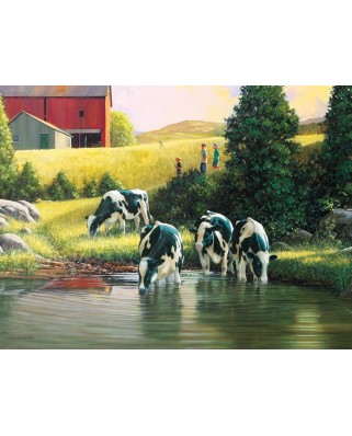 Puzzle Cobble Hill - Douglas Laird: Holsteins, 500 piese XXL (56107)