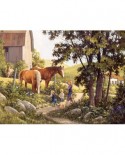 Puzzle Cobble Hill - Douglas Laird: Summer Horses, 500 piese XXL (56108)