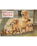 Puzzle Cobble Hill - Golden Puppies, 1000 piese (51161)