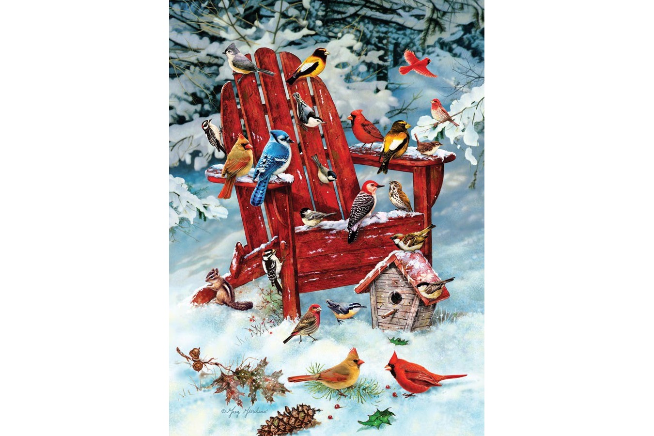 Puzzle Cobble Hill - Greg Giordano: Adirondack Birds, 1000 piese (44494)