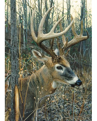 Puzzle Cobble Hill - Jay Kemp: White-tailed Deer, 1000 piese (58261)