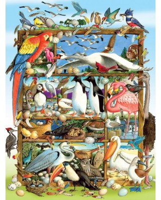Puzzle Cobble Hill - Laura L Seeley: Birds of the World, 400 piese (44543)