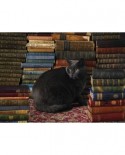 Puzzle Cobble Hill - Library Cat, 1000 piese (56095)