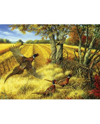 Puzzle Cobble Hill - Linda Picken: Ring-necked Pheasants, 500 piese XXL (56106)
