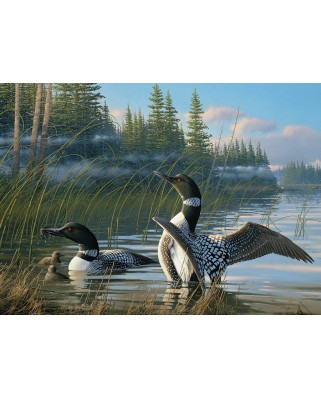 Puzzle Cobble Hill - Michael Sieve: Common Loons, 1000 piese (56075)