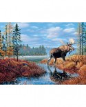 Puzzle Cobble Hill - Moose Marsh, 1000 piese (47561)