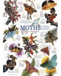 Puzzle Cobble Hill - Moth Collection, 1000 piese (64963)
