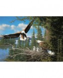 Puzzle Cobble Hill - Nesting Eagles, 1000 piese (51172)