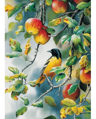 Puzzle Cobble Hill - Northern Oriole, 1000 piese (51175)