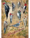 Puzzle Cobble Hill - Notable Woodpeckers, 500 piese XXL (65005)