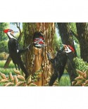 Puzzle Cobble Hill - Pileated Woodpeckers, 1000 piese (44375)