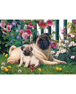 Puzzle Cobble Hill - Pug Family, 1000 piese (64921)