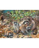 Puzzle Cobble Hill - Raccoon Family, 350 piese XXL (64926)