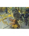 Puzzle Cobble Hill - Robert Bateman: Saw-whet Owl and Wild Grapes, 500 piese XXL (56115)