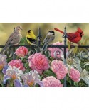 Puzzle Cobble Hill - Rosemary Millette: Birds on a Fence, 1000 piese (56084)