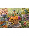 Puzzle Cobble Hill - Rosemary Millette: Rosemary's Birds, 2000 piese (56065)