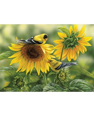 Puzzle Cobble Hill - Rosemary Millette: Sunflowers and Goldfinches, 1000 piese (56083)