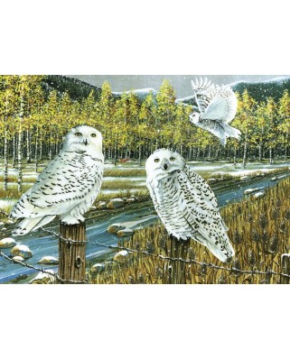 Puzzle Cobble Hill - Snowy Owl Gathering, 1000 piese (44351)