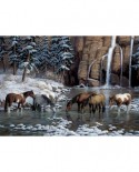 Puzzle Cobble Hill - Spirit of the Rockies, 1000 piese (64996)