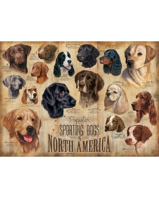 Puzzle Cobble Hill - Sporting Dogs, 1000 piese (64968)
