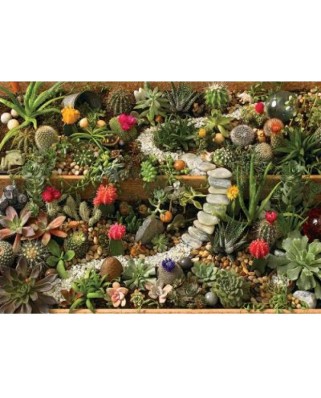 Puzzle Cobble Hill - Succulent Garden, 1000 piese (64992)