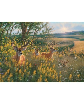 Puzzle Cobble Hill - Summer Deer, 1000 piese (47562)