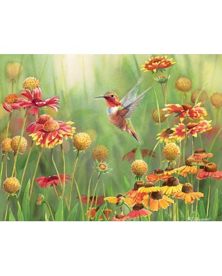 Puzzle Cobble Hill - Susan Bourdet: Rafous Hummingbird, 500 piese XXL (44530)