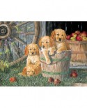 Puzzle Cobble Hill - Terry Doughty: Puppy Pail, 400 piese XXL (56130)