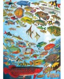 Puzzle Cobble Hill - Tropical Fish, 1000 piese (47567)