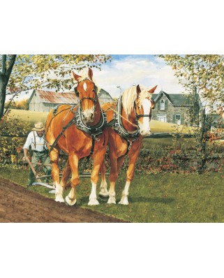 Puzzle Cobble Hill - Walter Campbell: Teamwork, 275 piese XXL (44415)