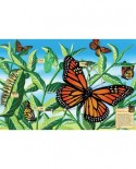 Puzzle de podea Cobble Hill - Life Cycle of a Monarch Butterfly, 48 piese XXL (44457)