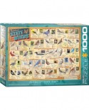 Puzzle Eurographics - American State Birds, 1000 piese (6000-5327)