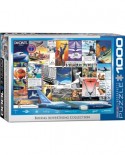 Puzzle Eurographics - Boeing Advertising Collection, 1000 piese (6000-0932)