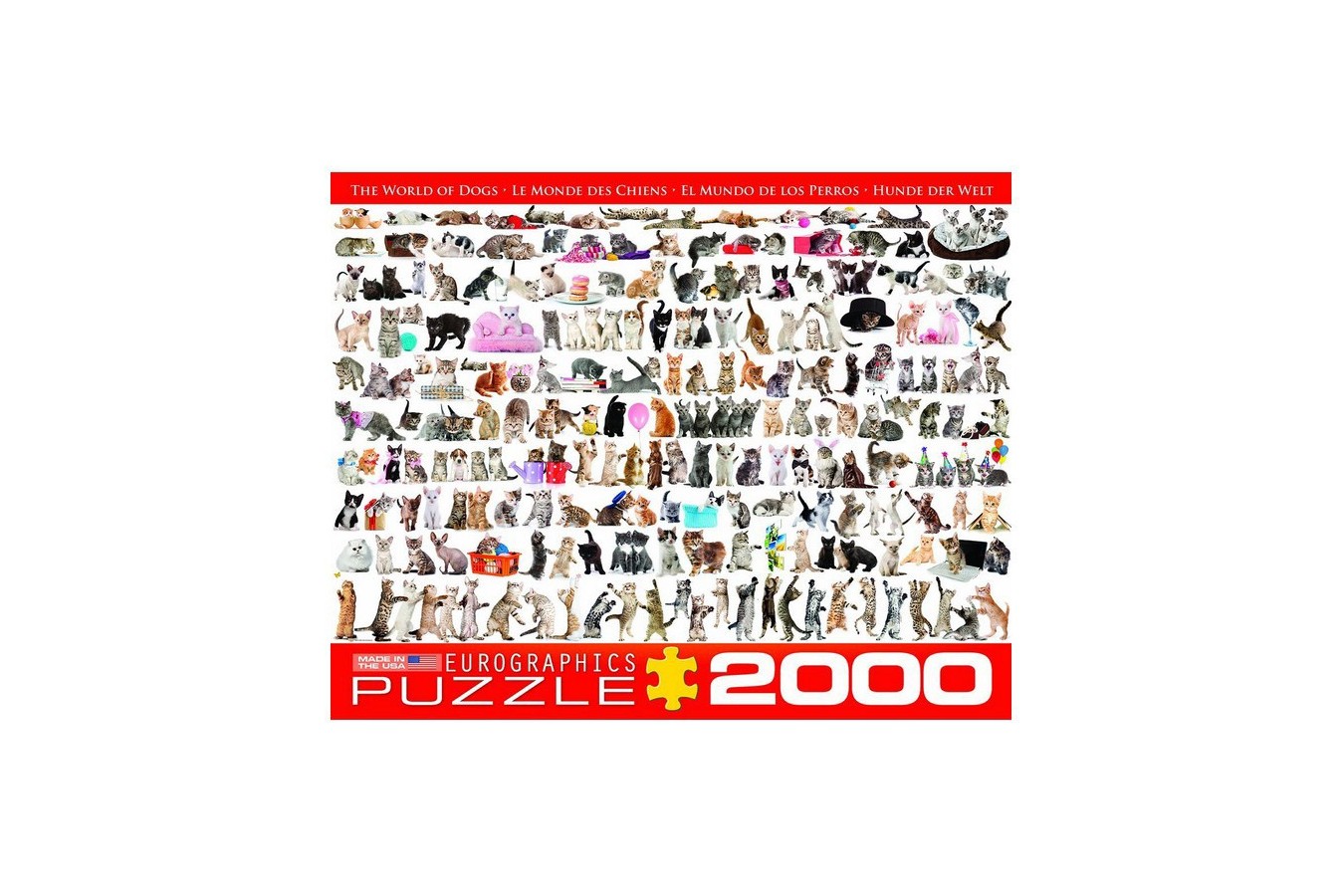 Puzzle Eurographics - Cat, 2000 piese (8220-0580)