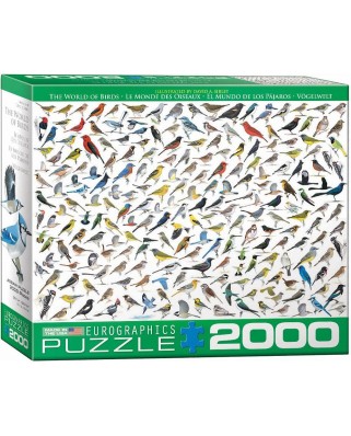 Puzzle Eurographics - David Sibley: The World of Birds, 2000 piese (8220-0821)