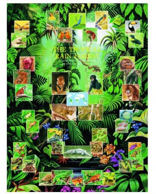 Puzzle Eurographics - Der tropische Regenwald, 1000 piese (6000-2790)