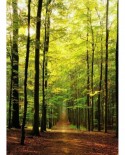 Puzzle Eurographics - Forest Path, 1000 piese (8000-3846)