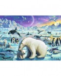 Puzzle Ravensburger - Animale Polare, 300 piese (13203)