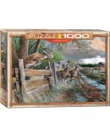 Puzzle Eurographics - Kevin Daniel: Abandoned Farm, 1000 piese (6000-0794)