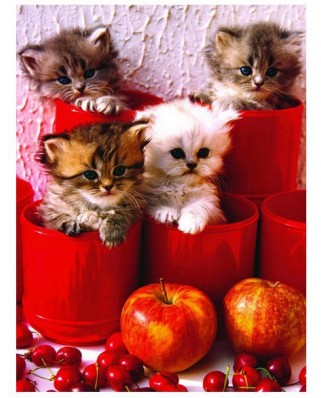 Puzzle Eurographics - Kitten in Pot, 1000 piese (6000-4674)