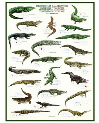 Puzzle Eurographics - Krokodile und Alligatoren, 1000 piese (6000-4680)
