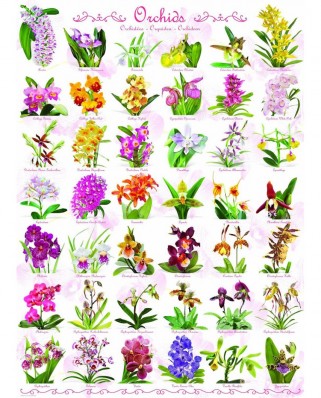 Puzzle Eurographics - Orchids, 1000 piese (6000-0655)