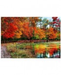Puzzle Eurographics - Sharon Forest, 1000 piese (6000-0545)