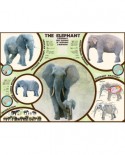 Puzzle Eurographics - The Elephant, 1000 piese (6000-0241)