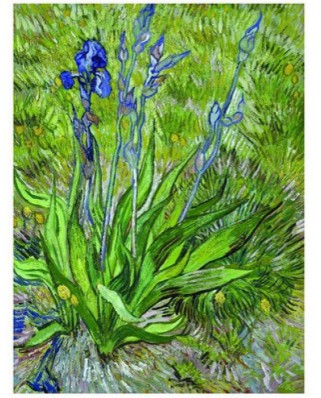 Puzzle Eurographics - Vincent Van Gogh: Die Iris, 1000 piese (6000-0380)